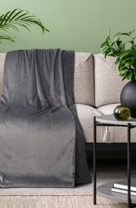 Blanket 200 x 220 Microfiber Double-sided Tedy Steel