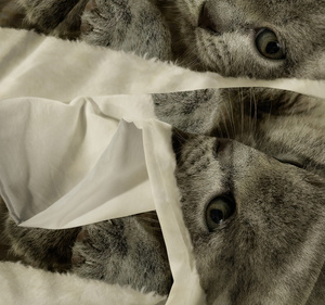 Bedding 140 x 200 2pcs Microfiber 3D Andreas 3029