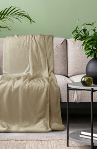 Blanket 170 x 210 Microfiber Two-sided Tedy Beige